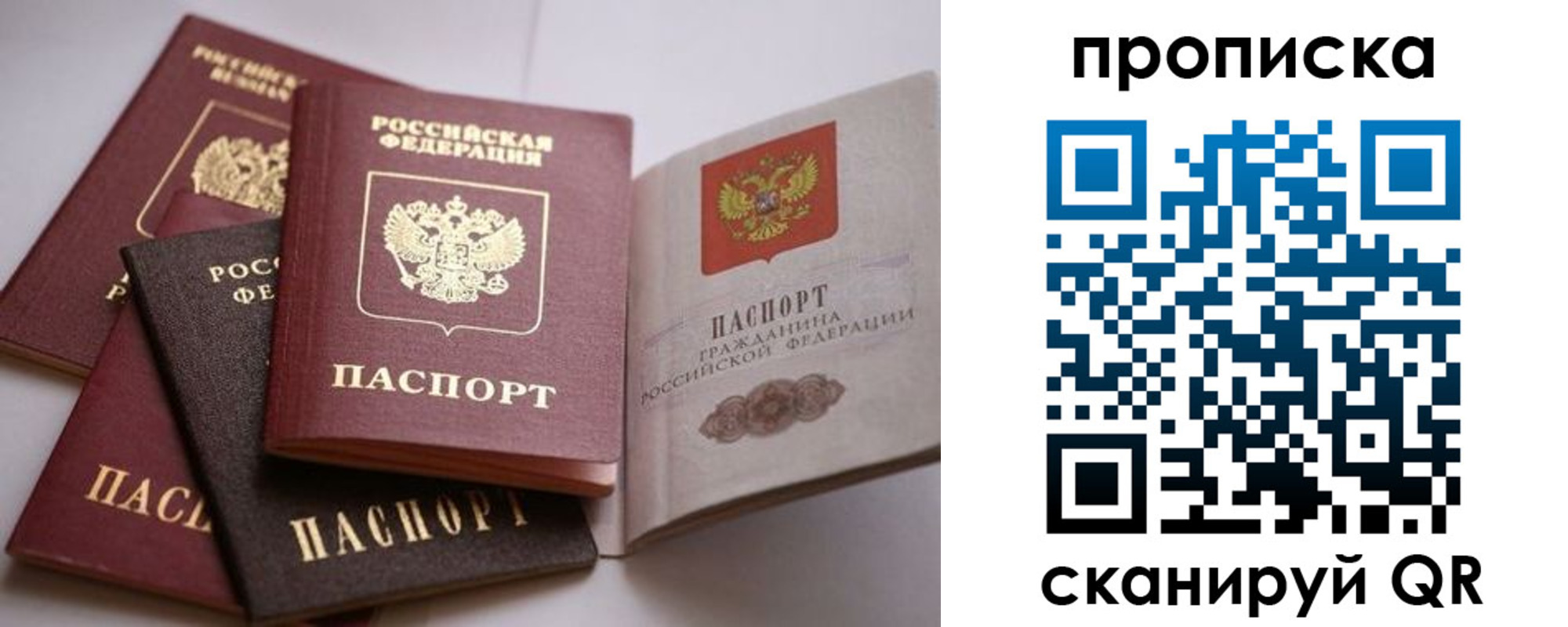 прописка ребенка в Коле
